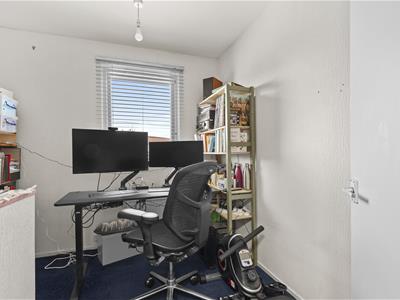 Picture 12